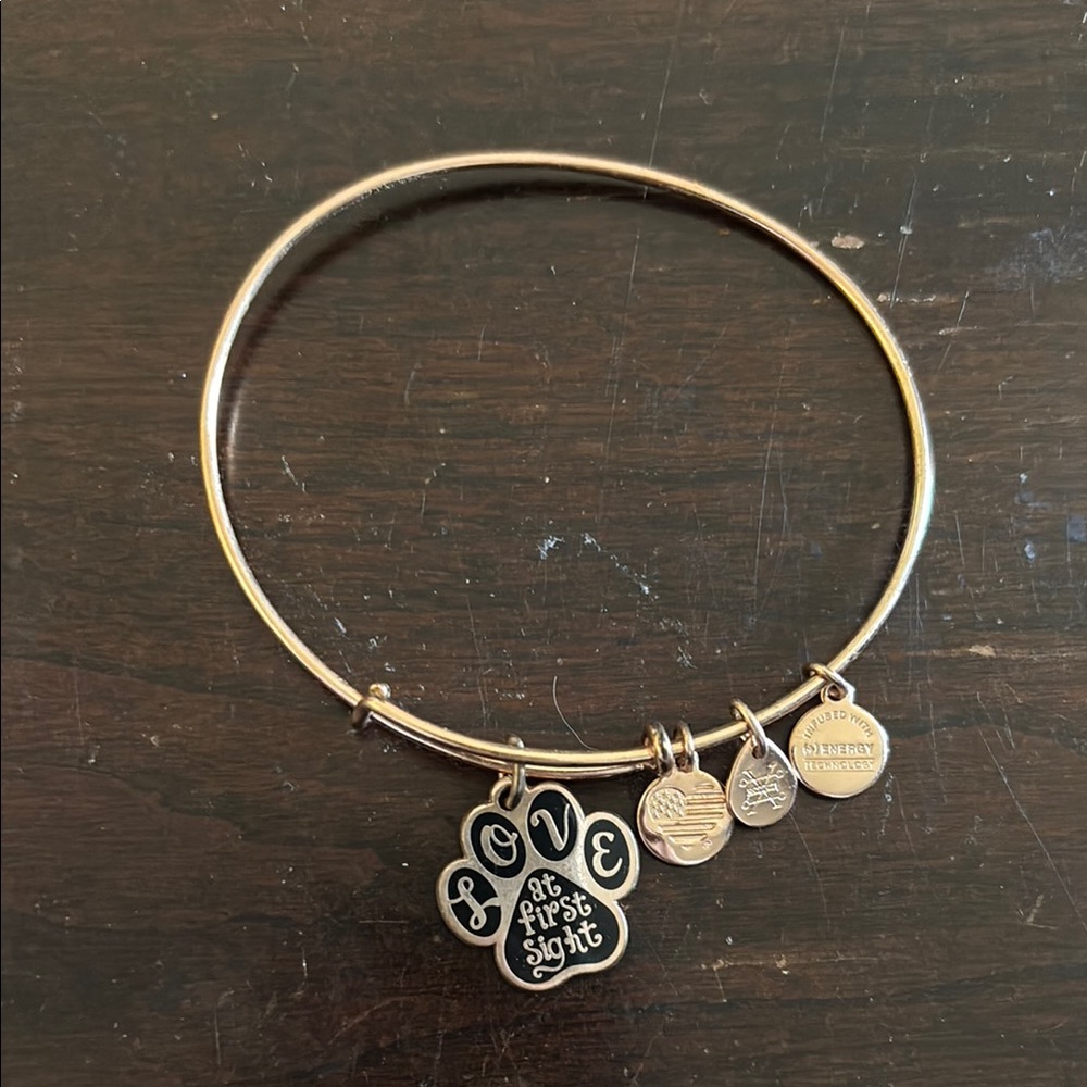 Alex & Ani “Love at First Sight” Dog Mom bracelet